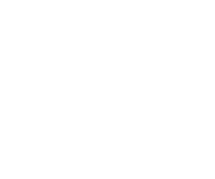 Logo de Pioneer Jeans, marca representada por Comomoda Showroom